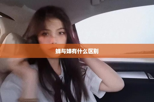 蝉与婵有什么区别