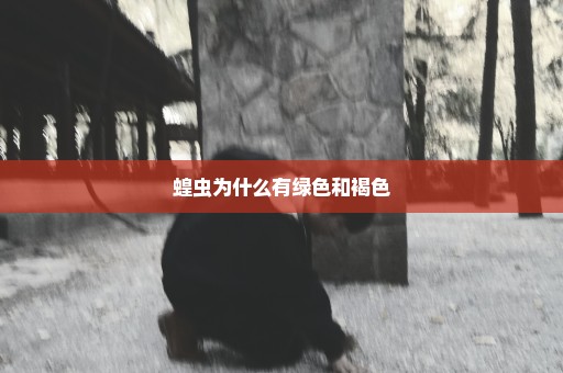 蝗虫为什么有绿色和褐色