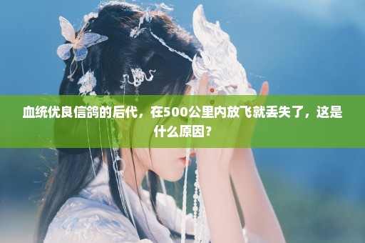 血统优良信鸽的后代，在500公里内放飞就丢失了，这是什么原因？