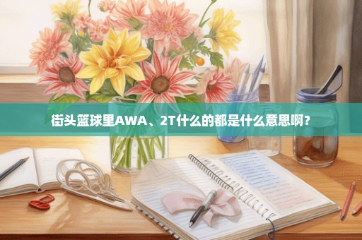 街头篮球里AWA、2T什么的都是什么意思啊？