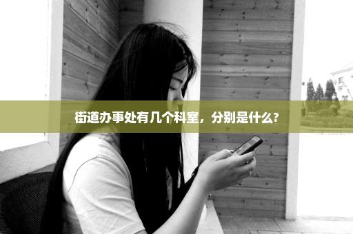 街道办事处有几个科室，分别是什么?