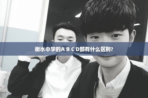 衡水中学的A B C D部有什么区别?