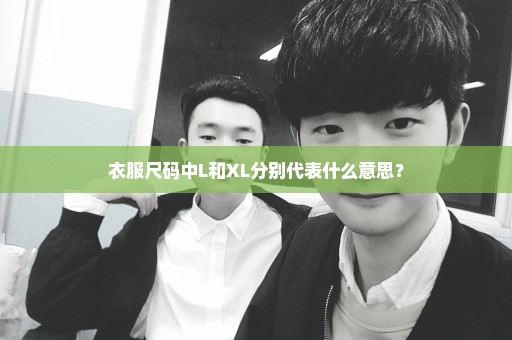 衣服尺码中L和XL分别代表什么意思？