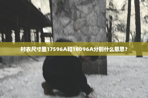 衬衣尺寸里17596A和18096A分别什么意思？