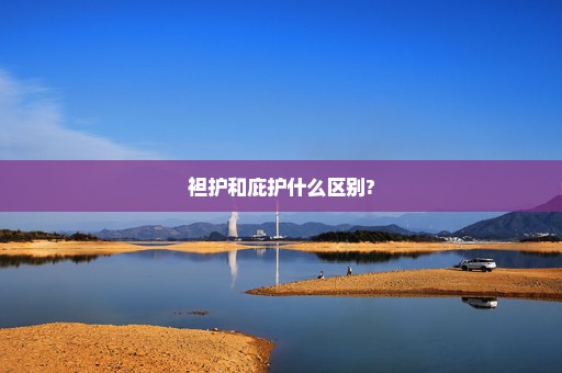 袒护和庇护什么区别?