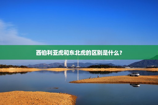 西伯利亚虎和东北虎的区别是什么？