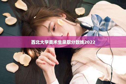 西北大学美术生录取分数线2022