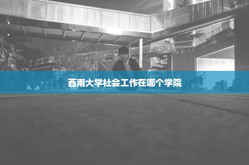 西南大学社会工作在哪个学院