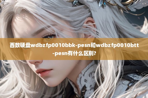 西数硬盘wdbzfp0010bbk-pesn和wdbzfp0010btt-pesn有什么区别?