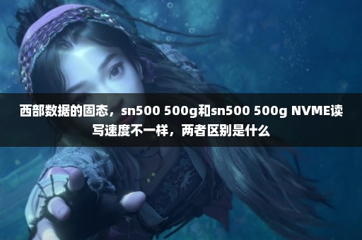 西部数据的固态，sn500 500g和sn500 500g NVME读写速度不一样，两者区别是什么