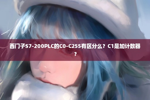 西门子S7-200PLC的C0-C255有区分么？C1是加计数器？