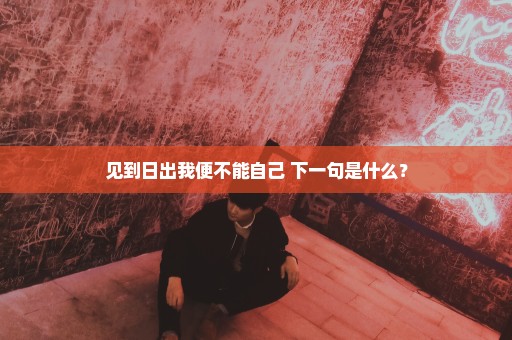 见到日出我便不能自己 下一句是什么？