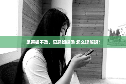 见善如不及，见恶如探汤 怎么理解呀?