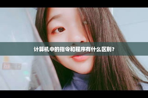 计算机中的指令和程序有什么区别？