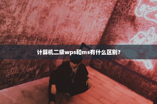 计算机二级wps和ms有什么区别？