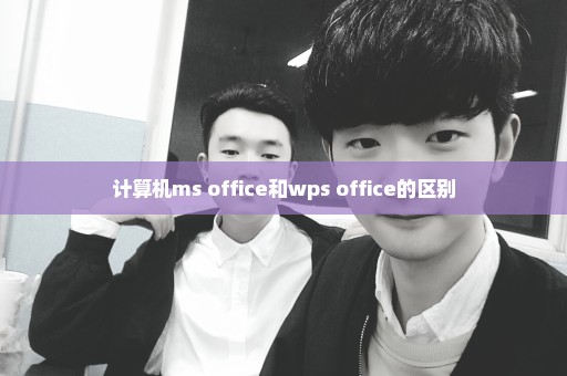 计算机ms office和wps office的区别