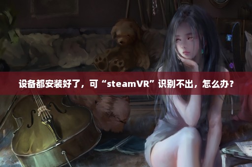 设备都安装好了，可“steamVR”识别不出，怎么办？