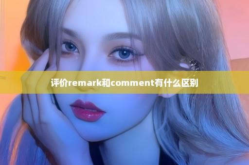 评价remark和comment有什么区别