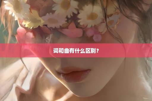 词和曲有什么区别？