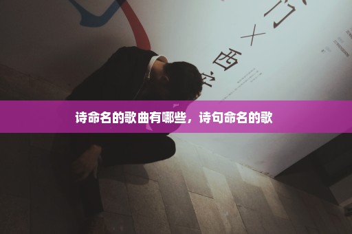 诗命名的歌曲有哪些，诗句命名的歌 