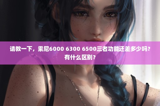 请教一下，索尼6000 6300 6500三者功能还差多少吗？有什么区别？