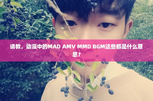 请教，动漫中的MAD AMV MMD BGM这些都是什么意思？