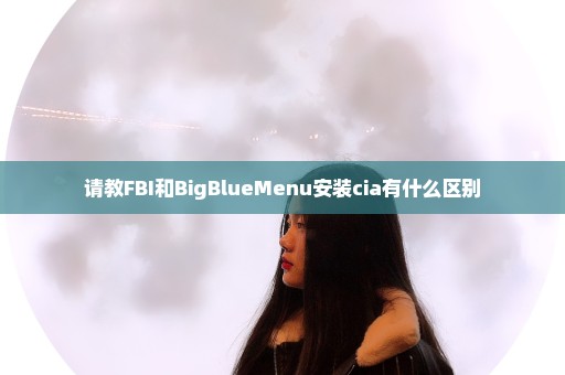 请教FBI和BigBlueMenu安装cia有什么区别