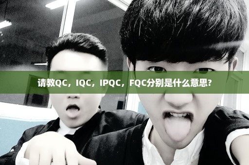 请教QC，IQC，IPQC，FQC分别是什么意思?