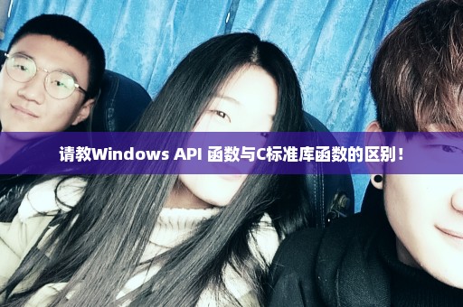 请教Windows API 函数与C标准库函数的区别！