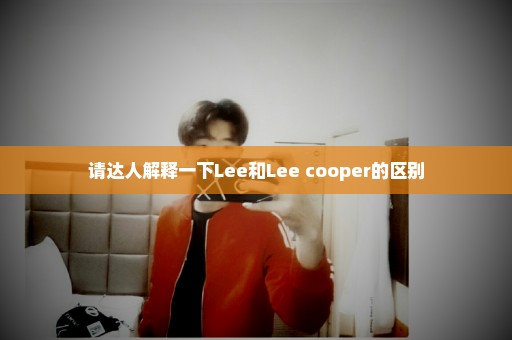 请达人解释一下Lee和Lee cooper的区别