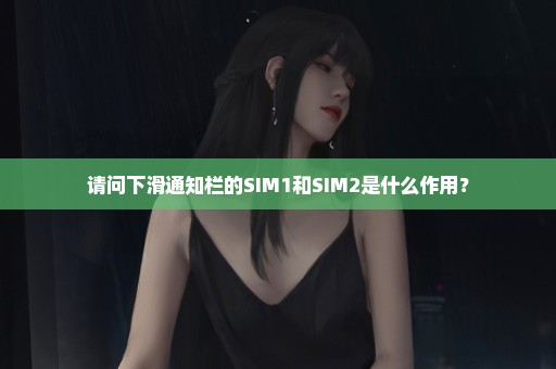 请问下滑通知栏的SIM1和SIM2是什么作用？