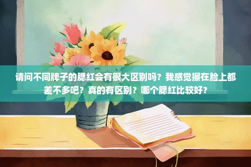 请问不同牌子的腮红会有很大区别吗？我感觉擦在脸上都差不多吧？真的有区别？哪个腮红比较好？