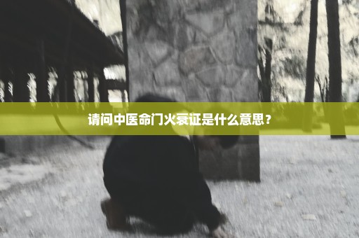 请问中医命门火衰证是什么意思？