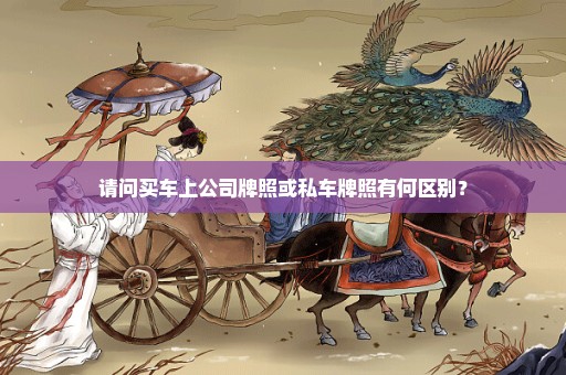 请问买车上公司牌照或私车牌照有何区别？