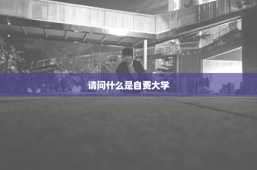 请问什么是自费大学