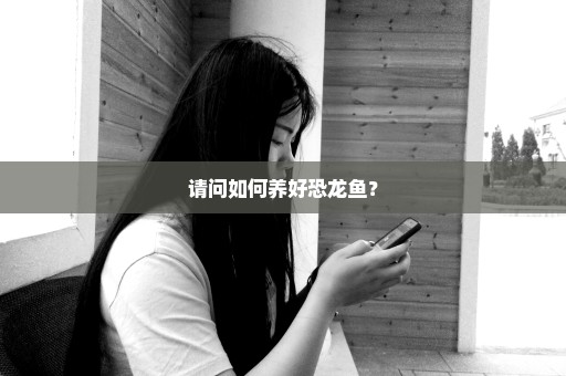 请问如何养好恐龙鱼？