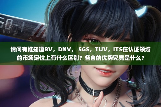 请问有谁知道BV，DNV， SGS，TUV，ITS在认证领域的市场定位上有什么区别？各自的优势究竟是什么？