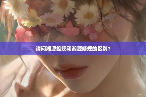 请问湘源控规和湘源修规的区别？