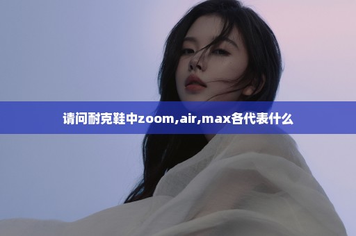 请问耐克鞋中zoom,air,max各代表什么