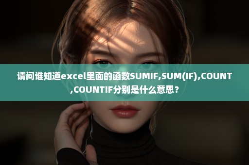 请问谁知道excel里面的函数SUMIF,SUM(IF),COUNT,COUNTIF分别是什么意思？