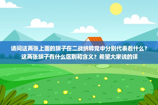 请问这两张上面的旗子在二战纳粹党中分别代表着什么？ 这两张旗子有什么区别和含义？希望大家说的详