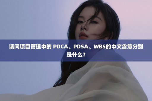 请问项目管理中的 PDCA、PDSA、WBS的中文含意分别是什么？