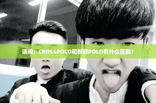 请问：CROSSPOLO和新款POLO有什么区别？