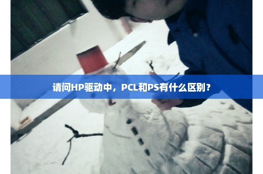 请问HP驱动中，PCL和PS有什么区别？