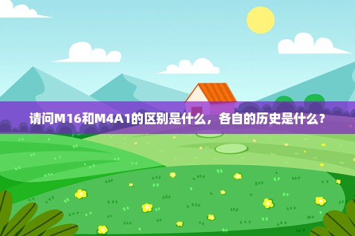 请问M16和M4A1的区别是什么，各自的历史是什么？