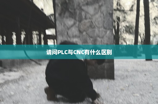 请问PLC与CNC有什么区别