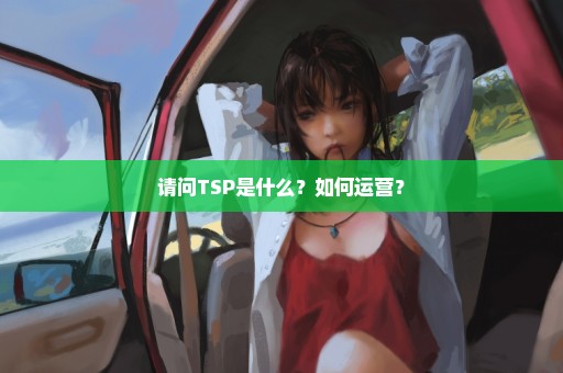 请问TSP是什么？如何运营？