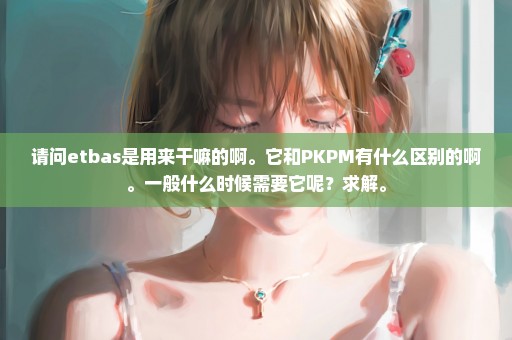 请问etbas是用来干嘛的啊。它和PKPM有什么区别的啊。一般什么时候需要它呢？求解。