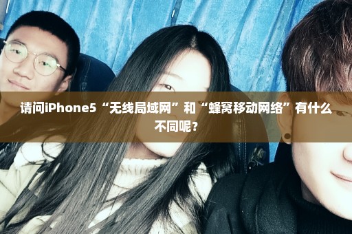 请问iPhone5“无线局域网”和“蜂窝移动网络”有什么不同呢？