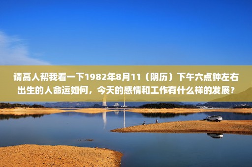 请高人帮我看一下1982年8月11（阴历）下午六点钟左右出生的人命运如何，今天的感情和工作有什么样的发展？